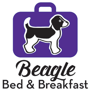 beagle-bed-breakfast